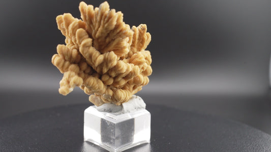 Baryte & Pyrite