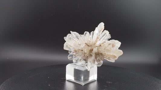 Gypse d’Angervilliers – Pierre de Guérison Émotionnelle – 6x3 cm – 23g – Minéral Naturel Français pour Chakras et Méditation