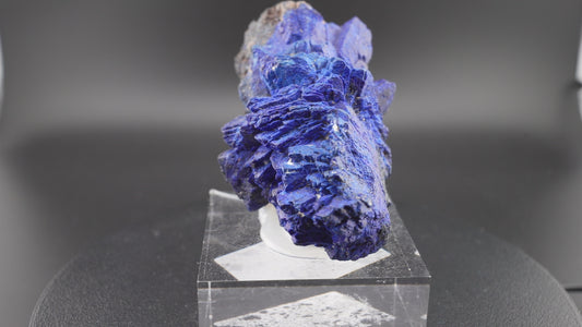 Azurite Cristallisée – Chessy-les-Mines, France – Pièce Rare