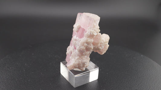 Tourmaline Rubellite – Paprok, Afghanistan – Cristal Rare
